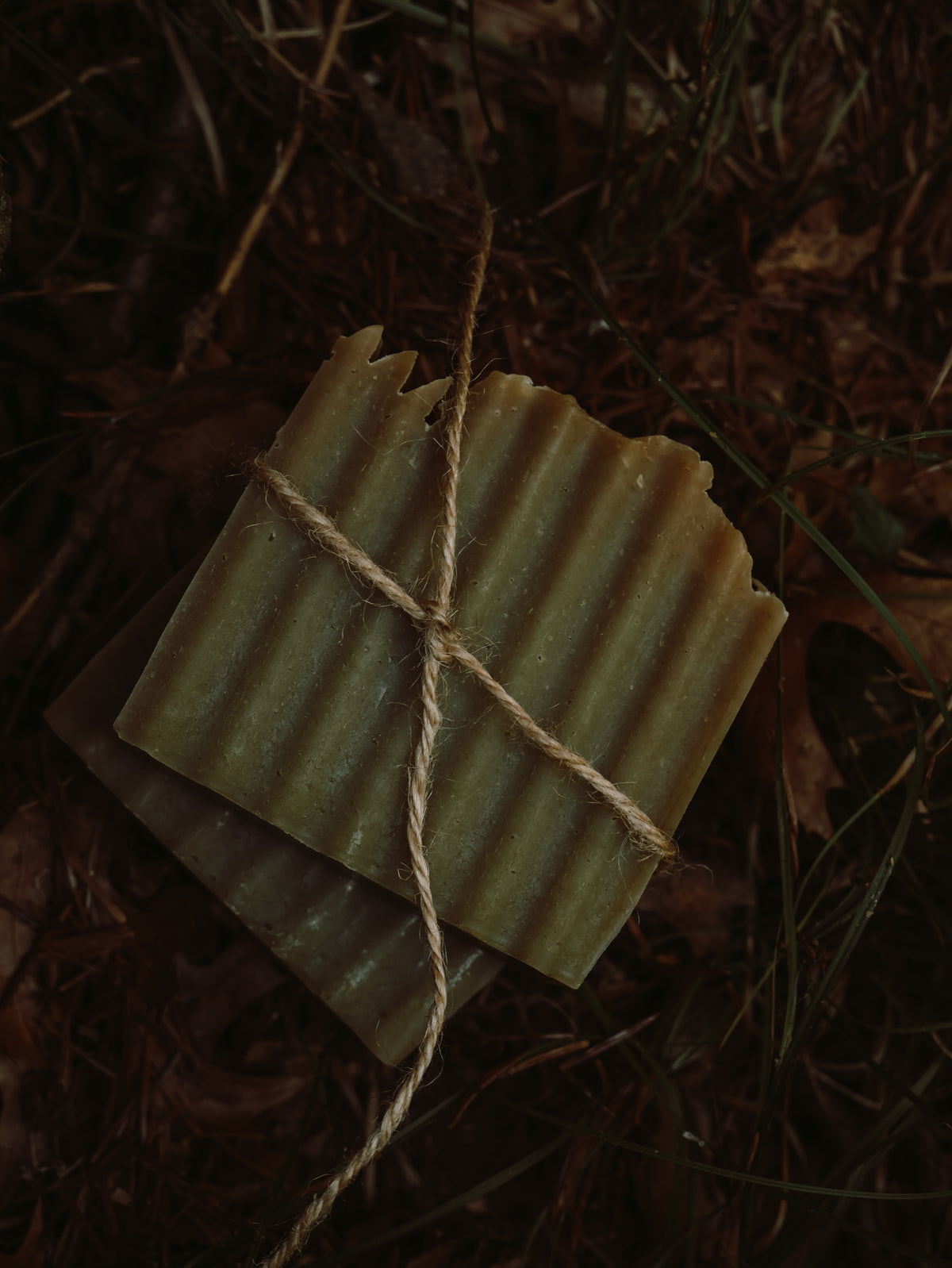 Forest Hearth