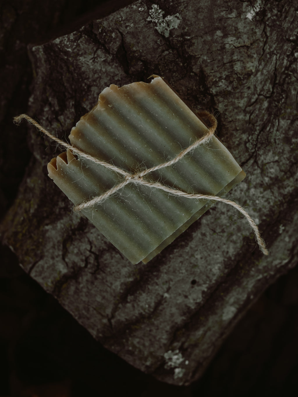 Forest Hearth