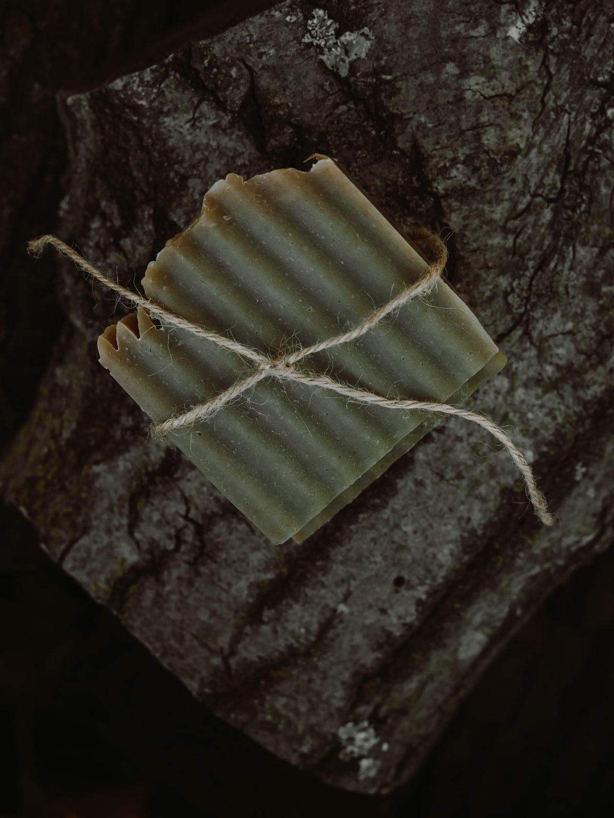 Forest Hearth