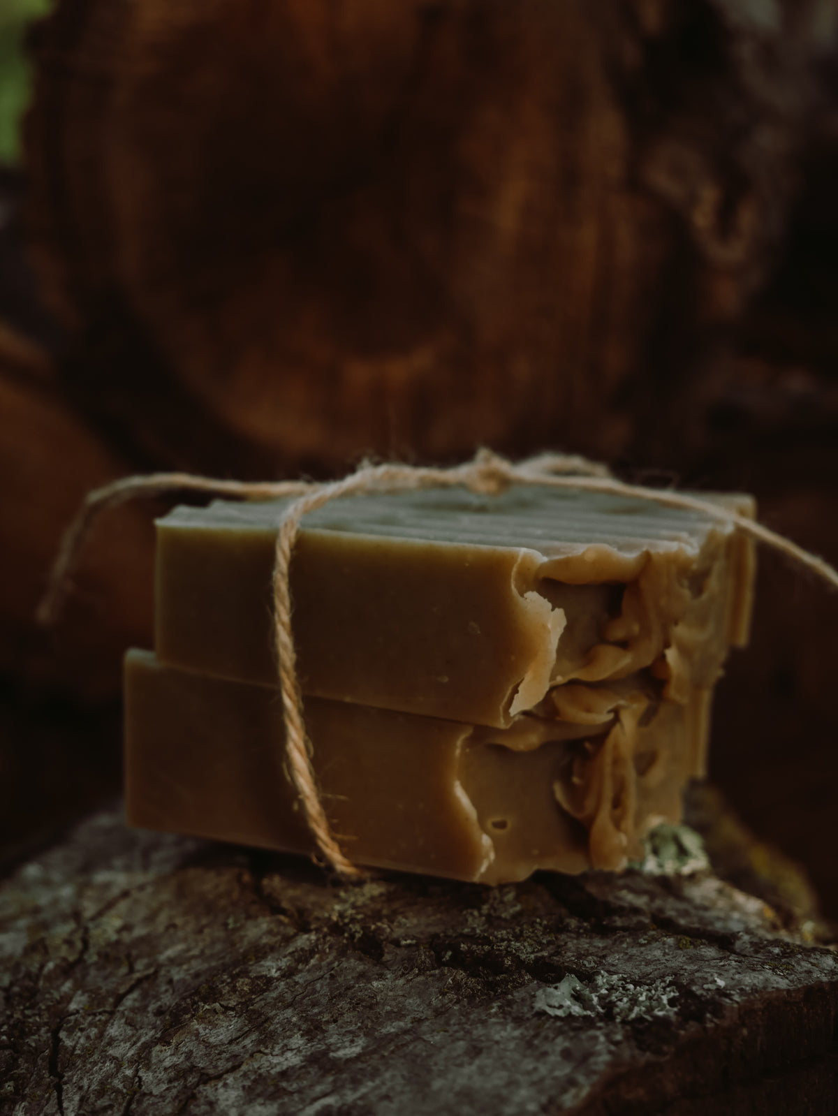 Forest Hearth