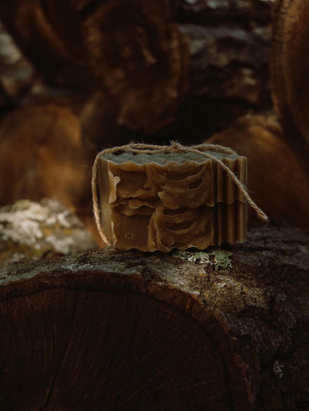 Forest Hearth