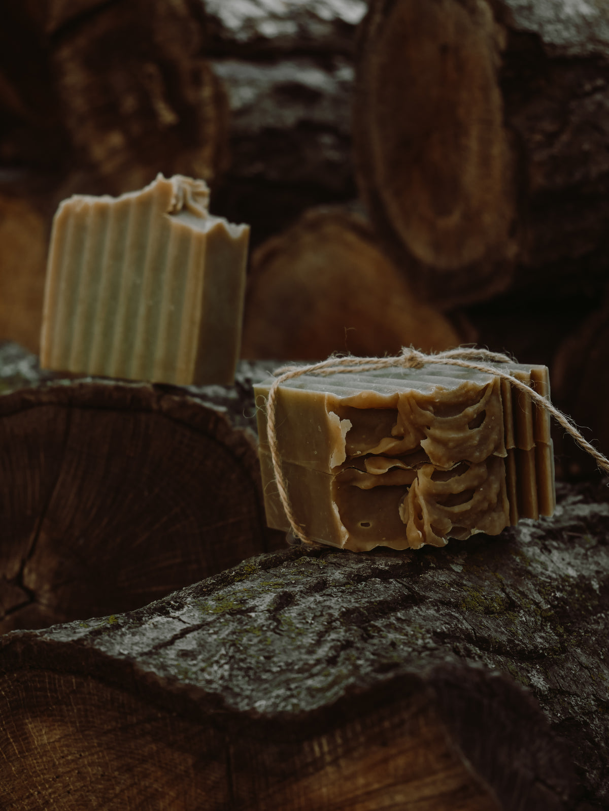 Forest Hearth