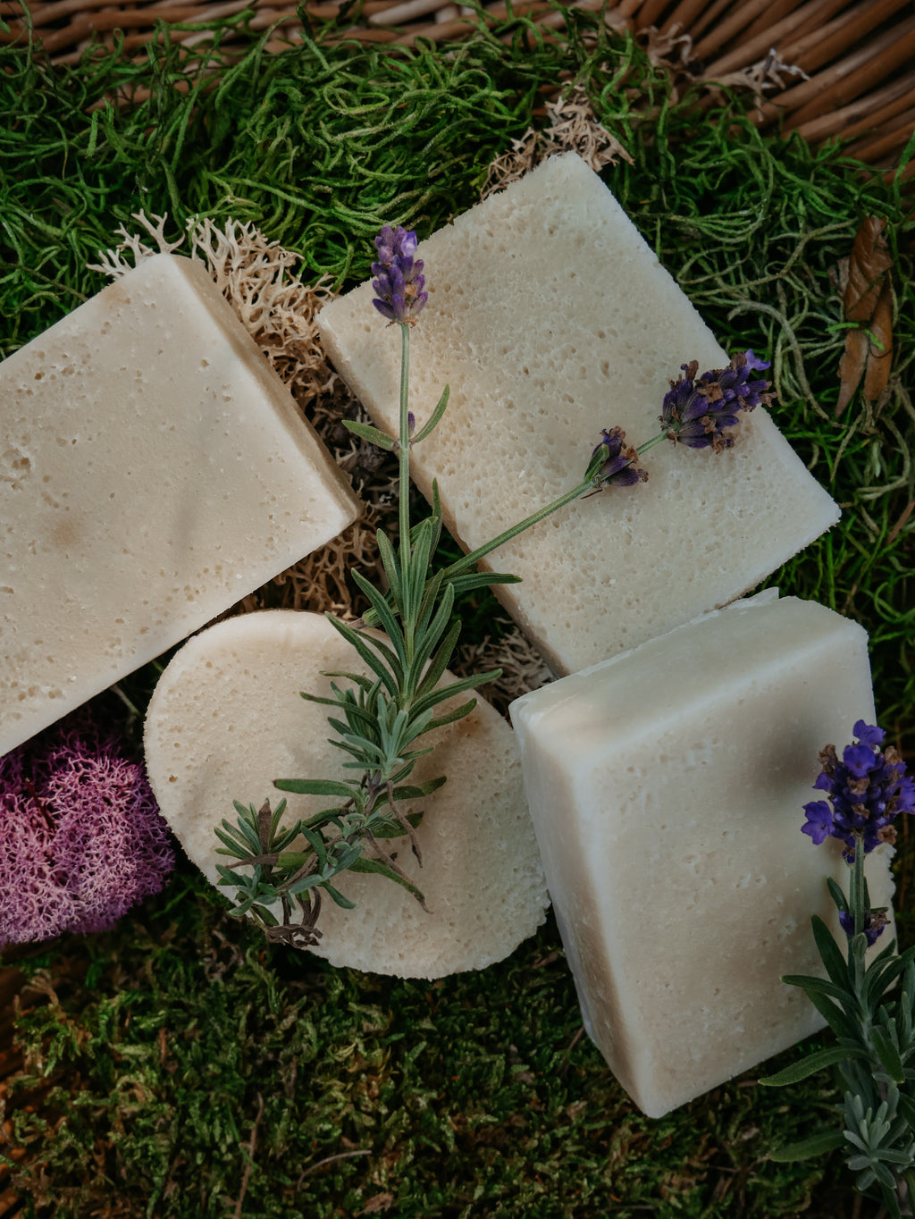 For-Rest Moss Shampoo & Body Bars