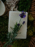 For-Rest Moss Shampoo & Body Bars