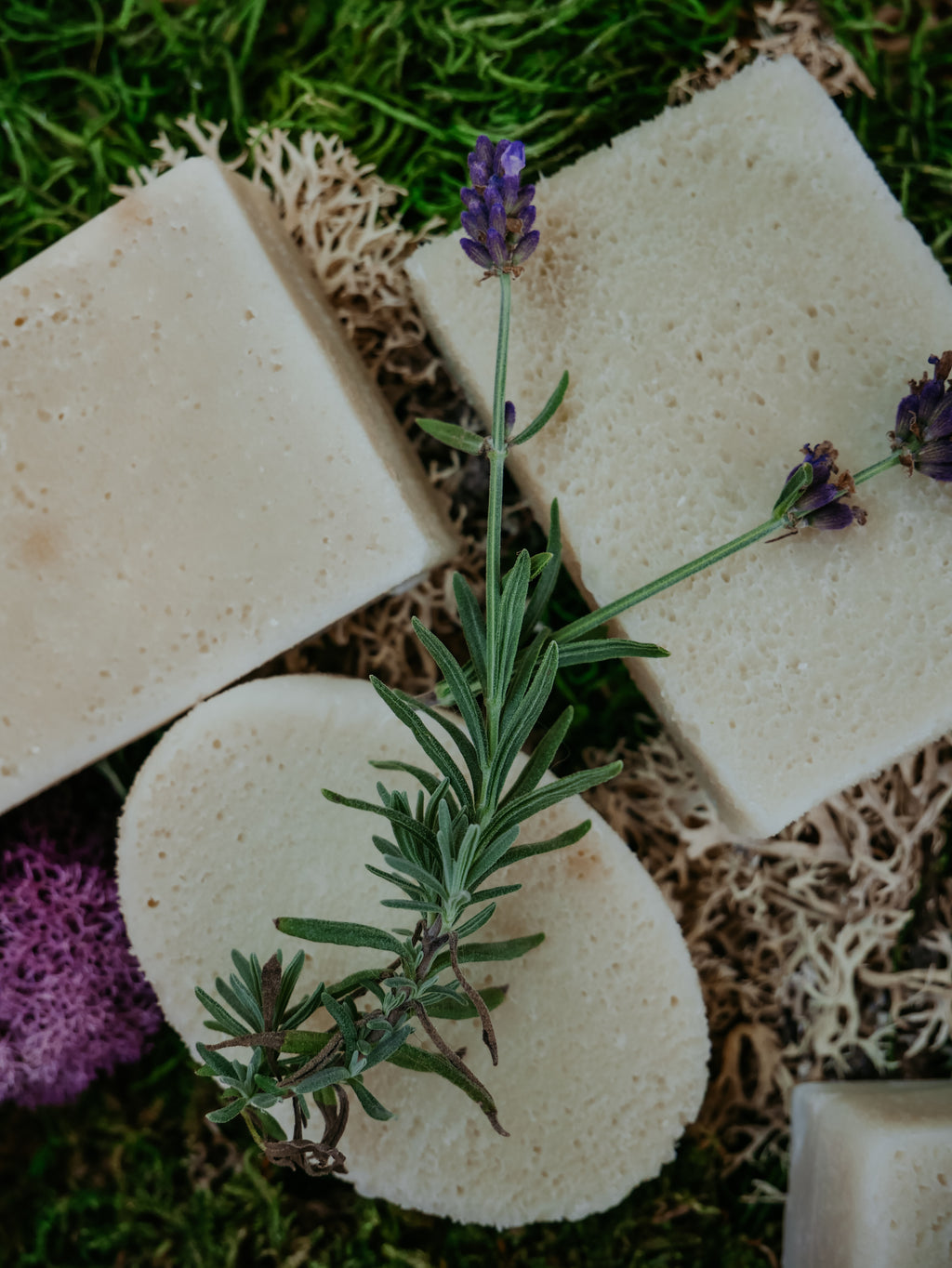 For-Rest Moss Shampoo & Body Bars