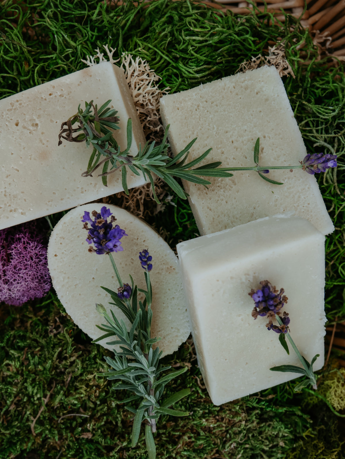 For-Rest Moss Shampoo & Body Bars