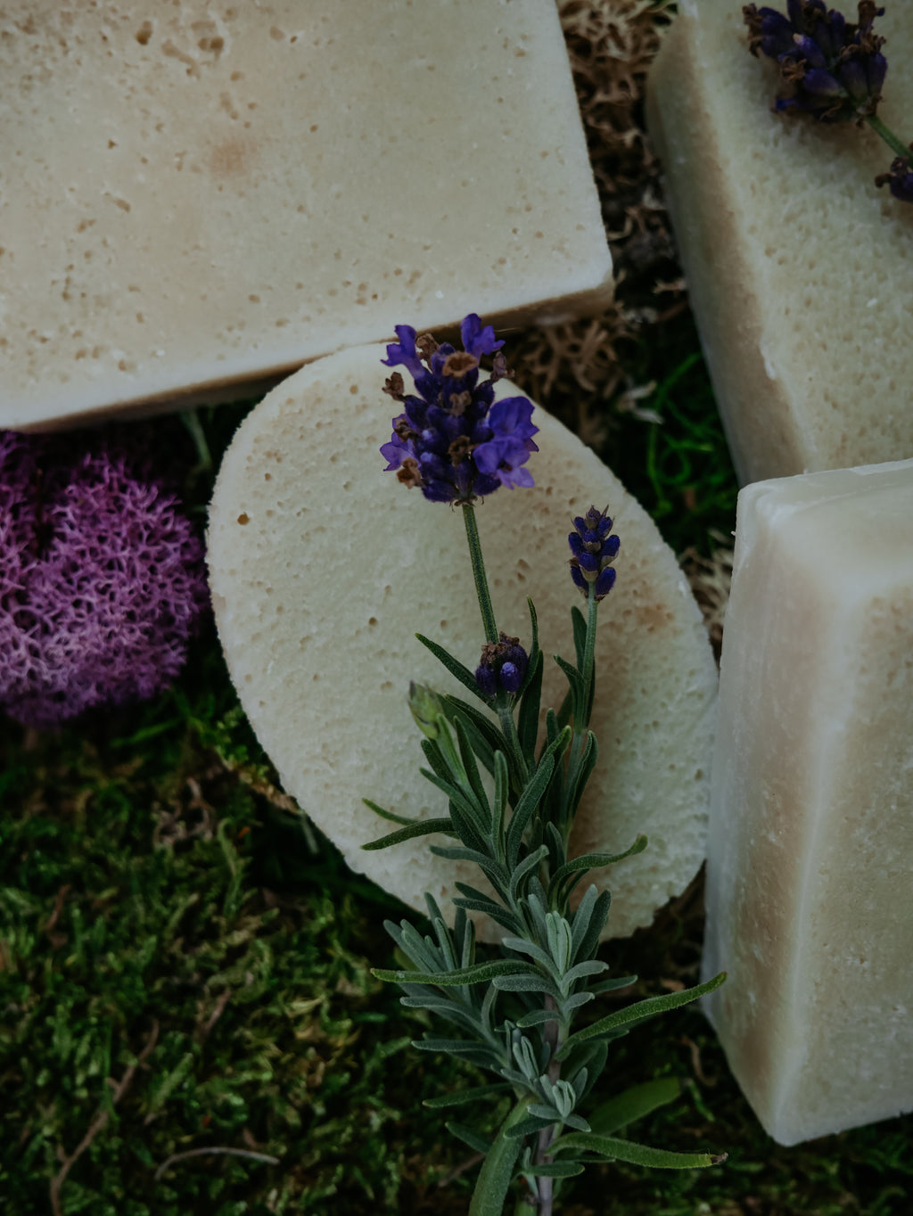For-Rest Moss Shampoo & Body Bars