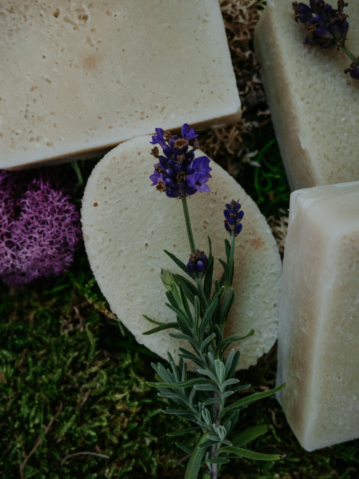 For-Rest Moss Shampoo & Body Bars