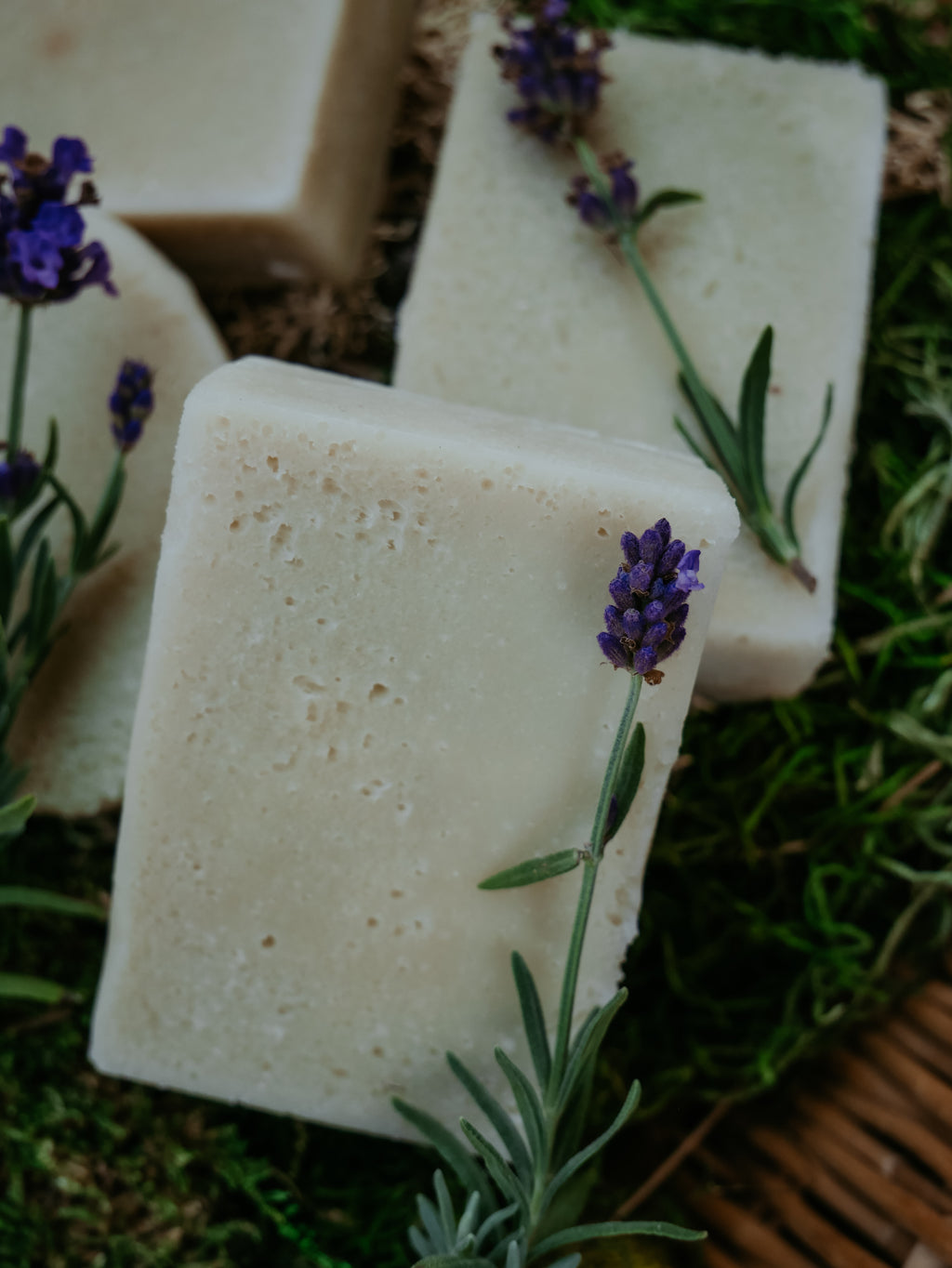 For-Rest Moss Shampoo & Body Bars