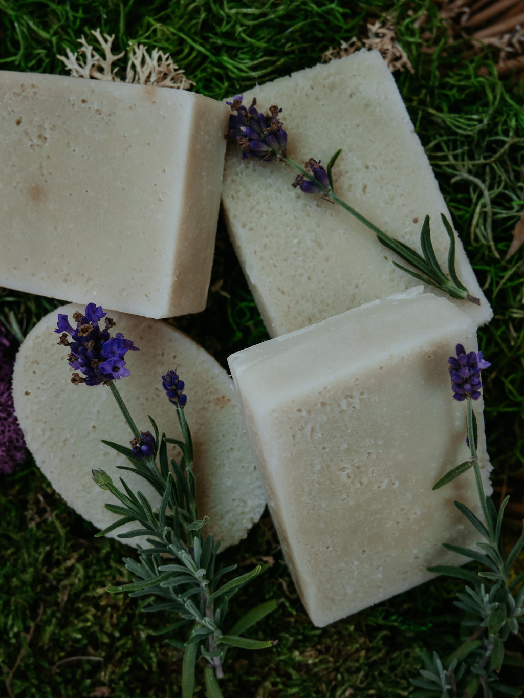 For-Rest Moss Shampoo & Body Bars