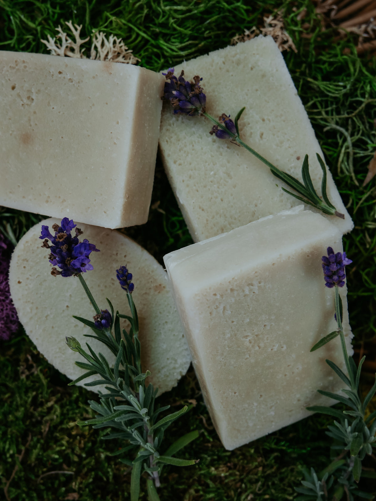 For-Rest Moss Shampoo & Body Bars