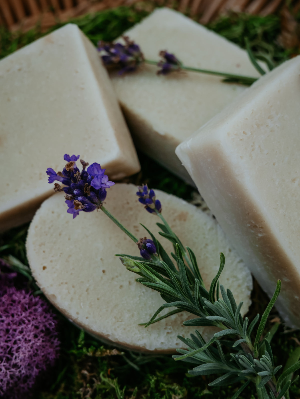 For-Rest Moss Shampoo & Body Bars