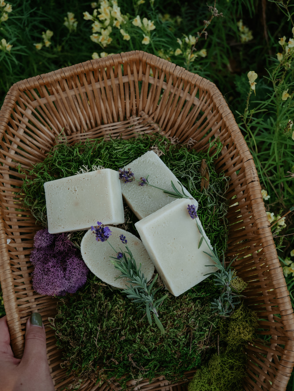 For-Rest Moss Shampoo & Body Bars