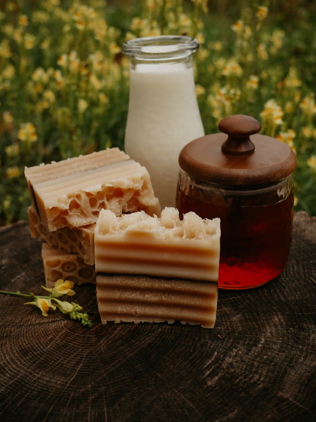 Apiary Song