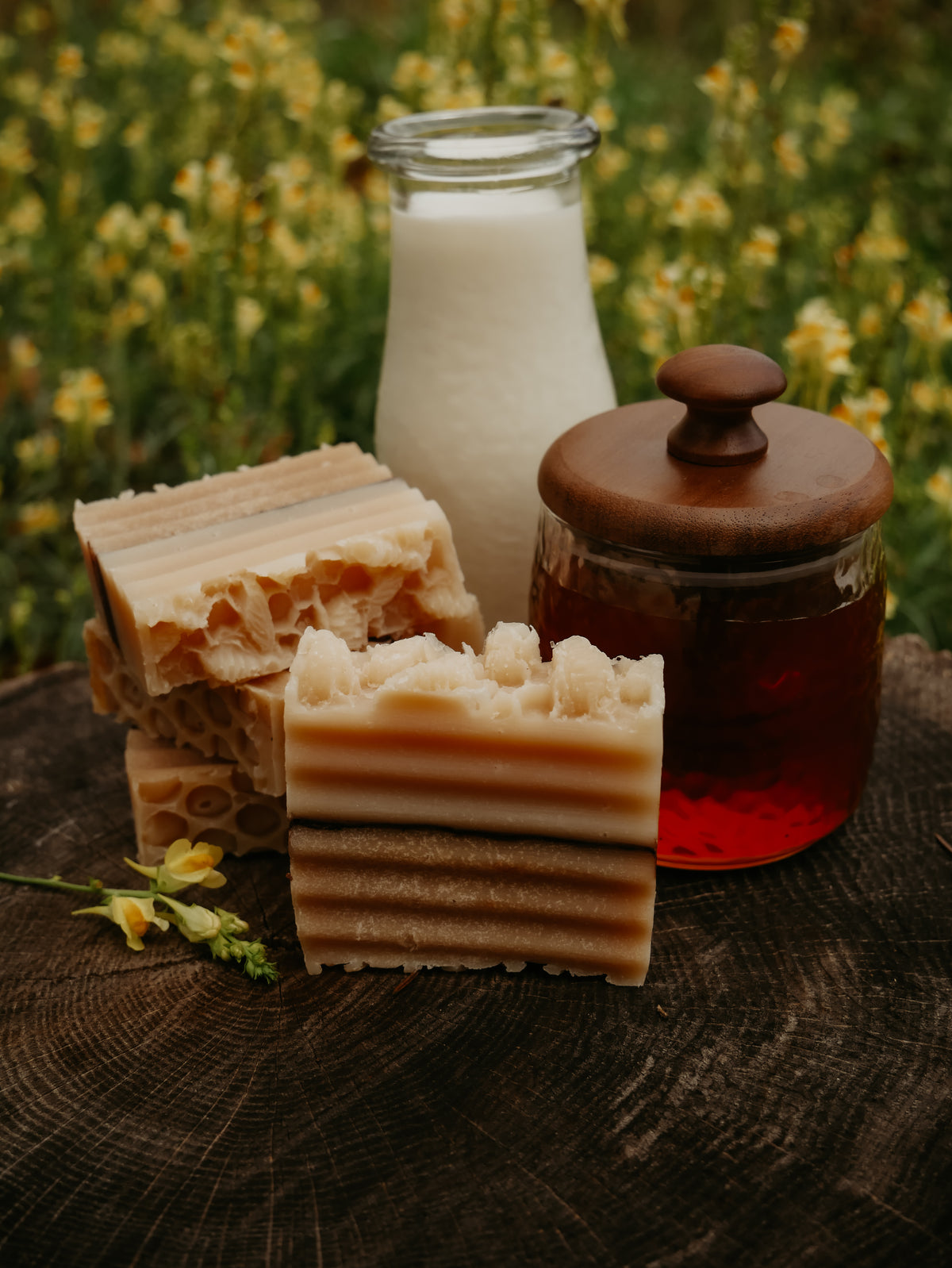 Apiary Song
