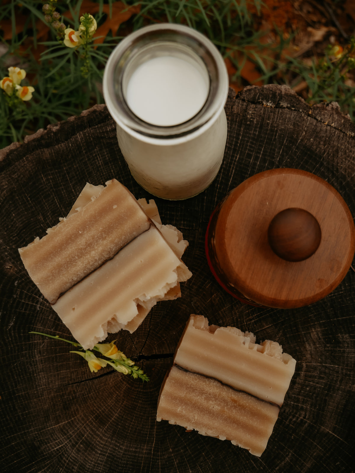Apiary Song