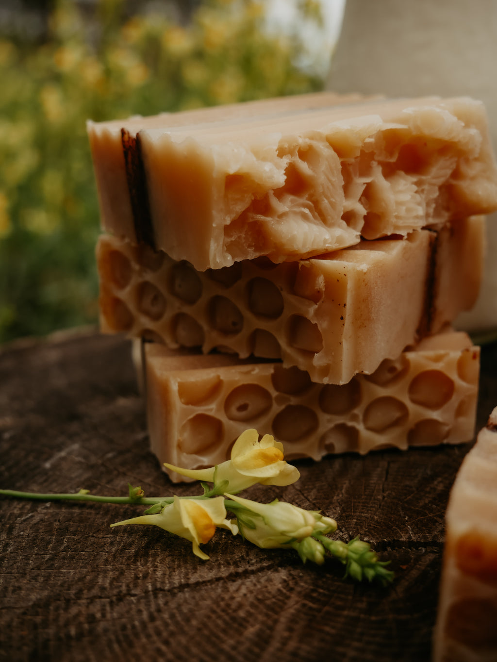 Apiary Song