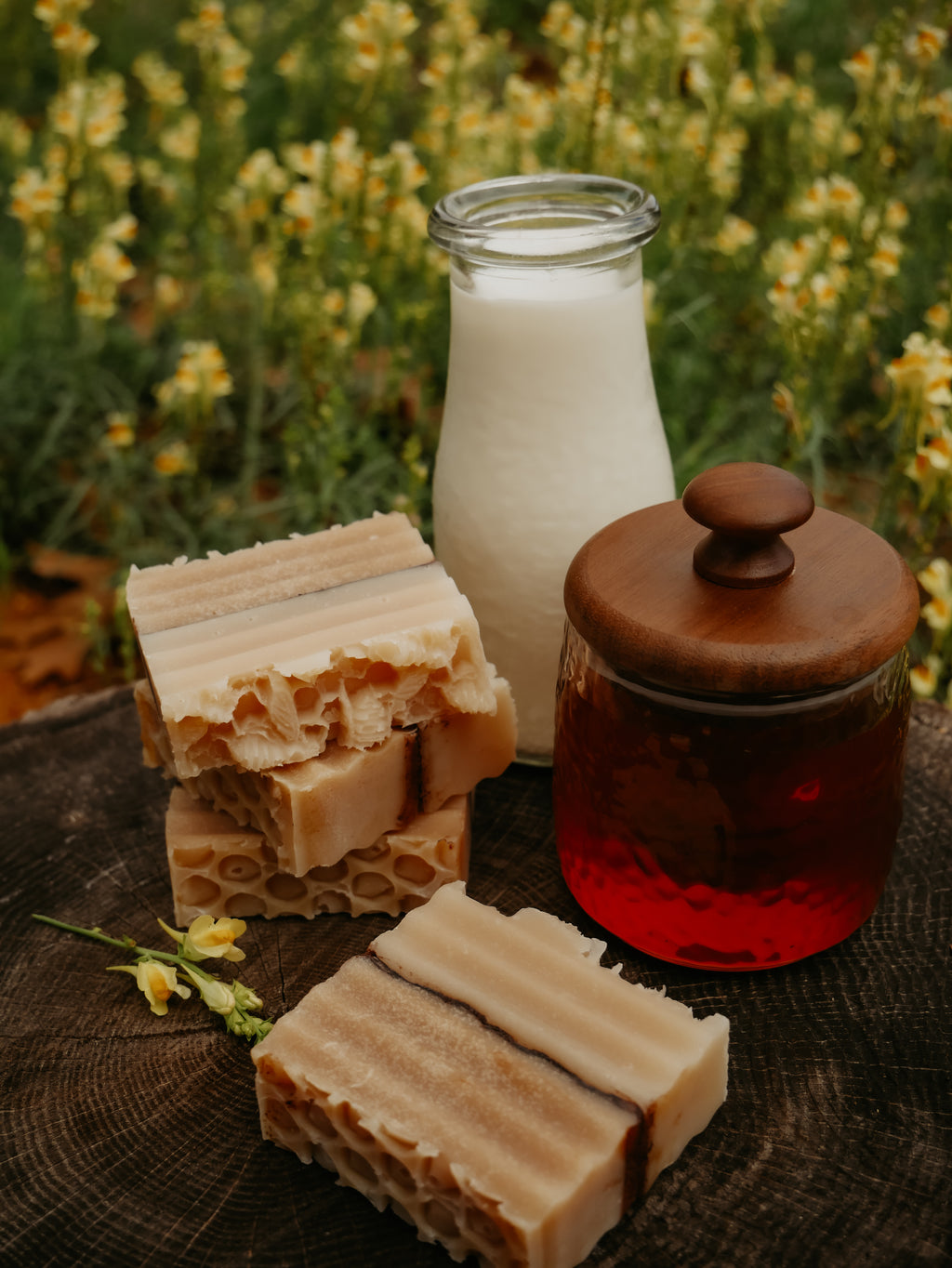 Apiary Song